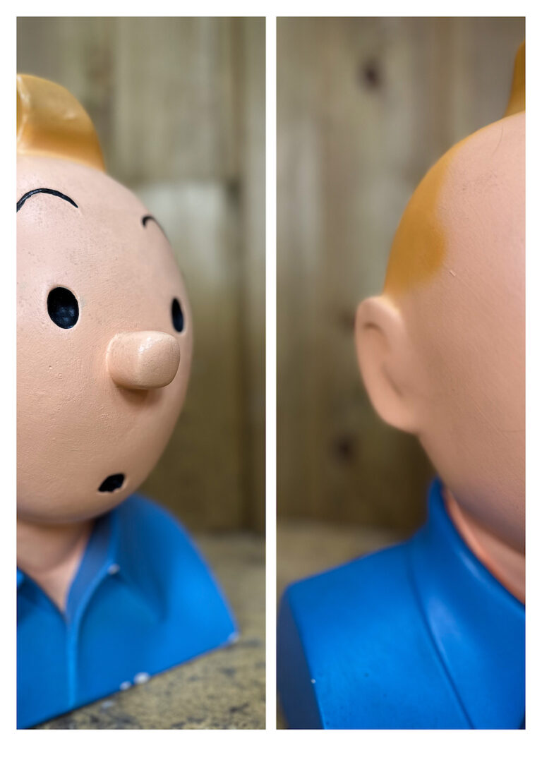 SUPERBE FILM DOCUMENTAIRE : SUR LES TRACES DE TINTIN (LE LOTUS BLEU