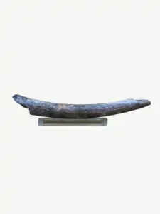 mammoth tusk