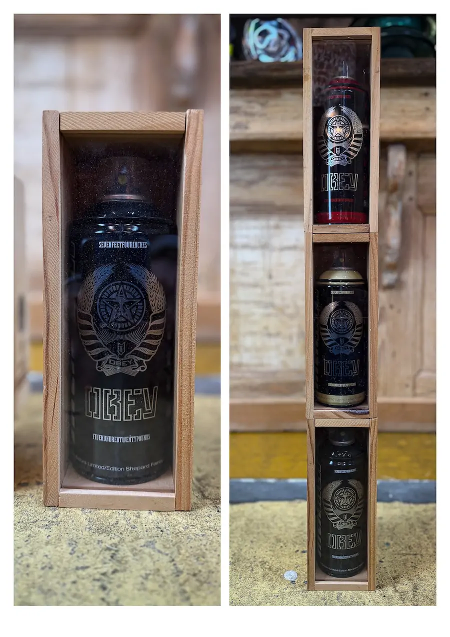 Spray Can Obey x MTN street art