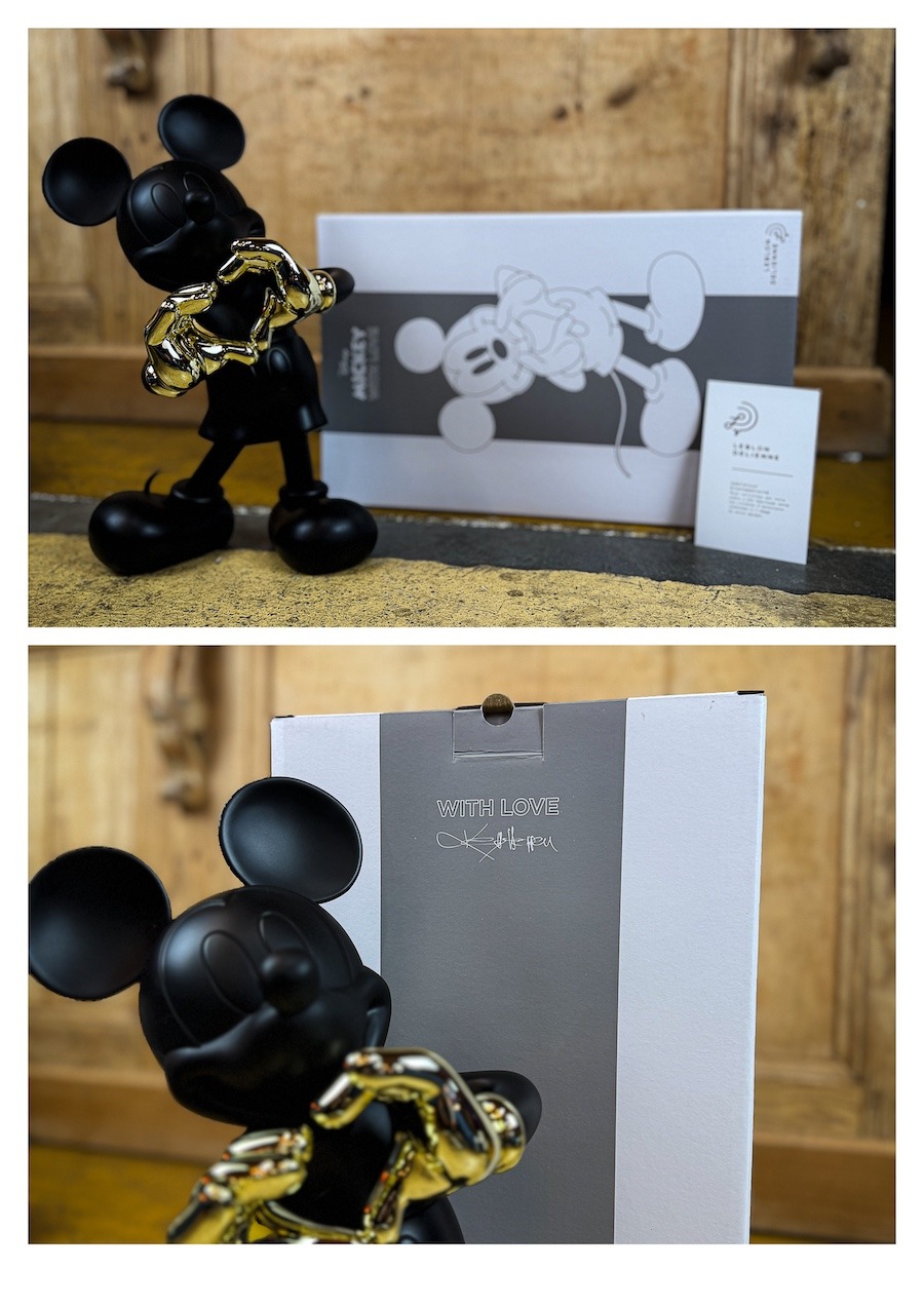 Mickey with Love Leblon Delienne pop art