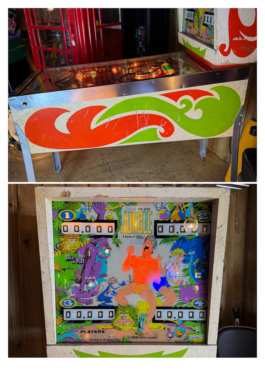 Gottlieb Jungle Pinball Machine, 1972, electromechanical - Image 4