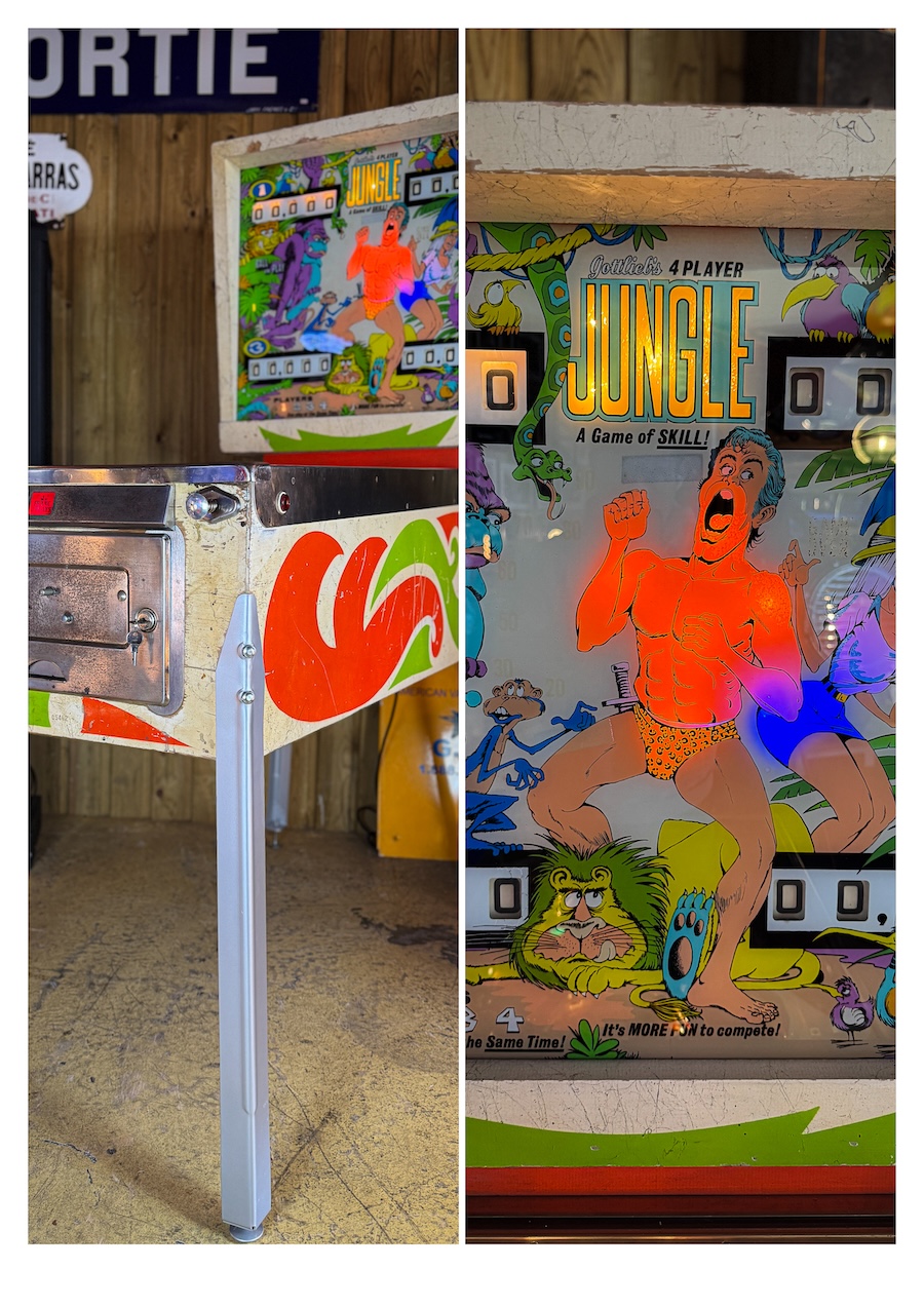 Gottlieb Jungle Pinball Machine, 1972, electromechanical - Image 5