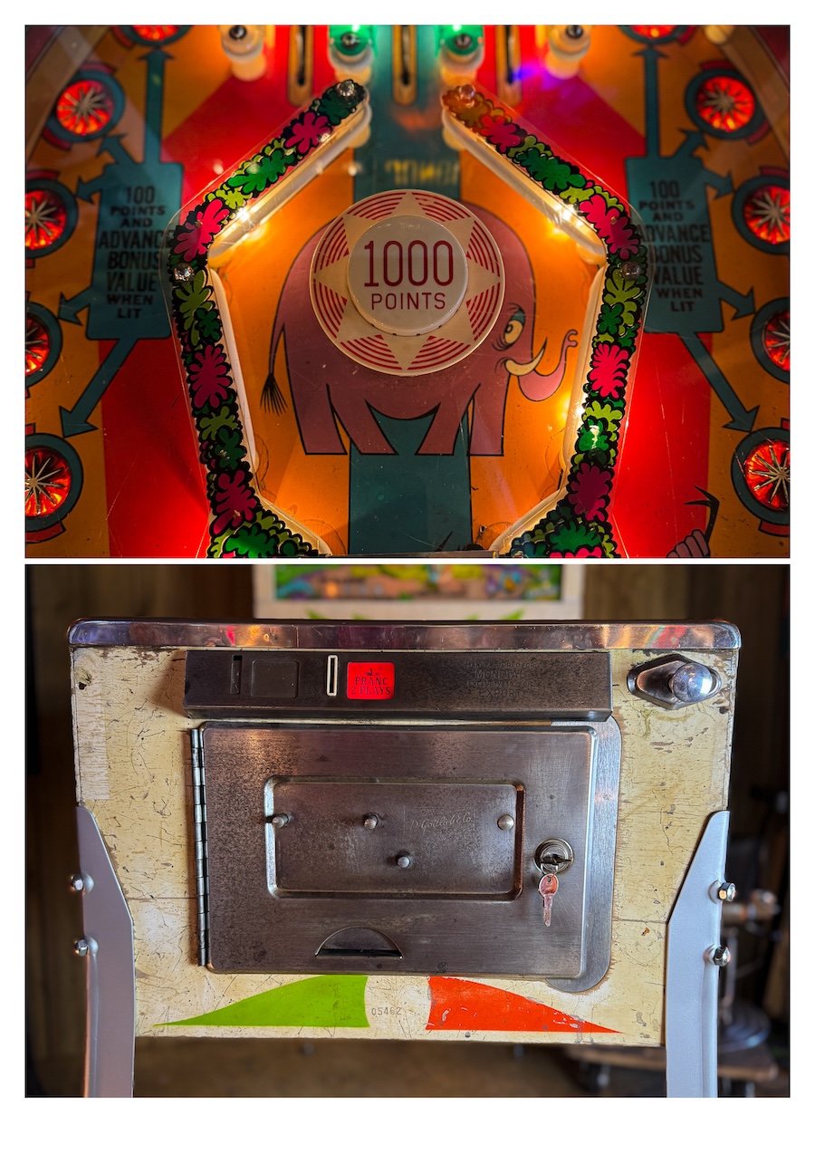 Gottlieb Jungle Pinball Machine, 1972, electromechanical - Image 6